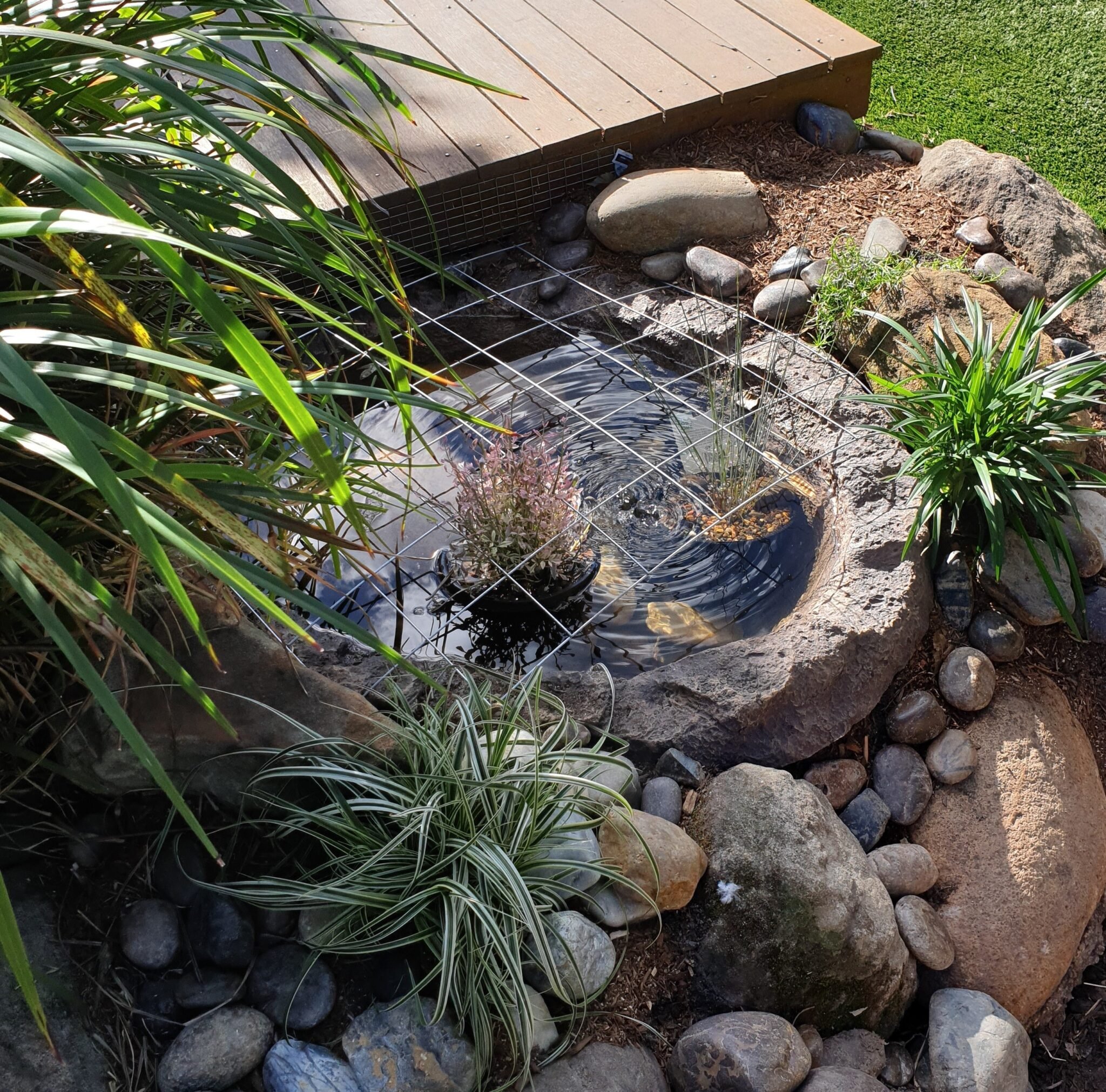 Frog Pond Hills Montessori